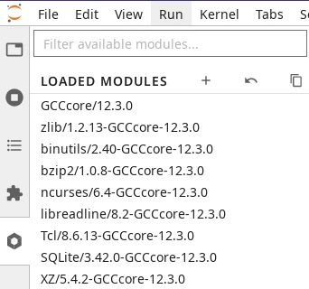 ../../../_images/jupyterlab-lmod-tab-2023a.webp